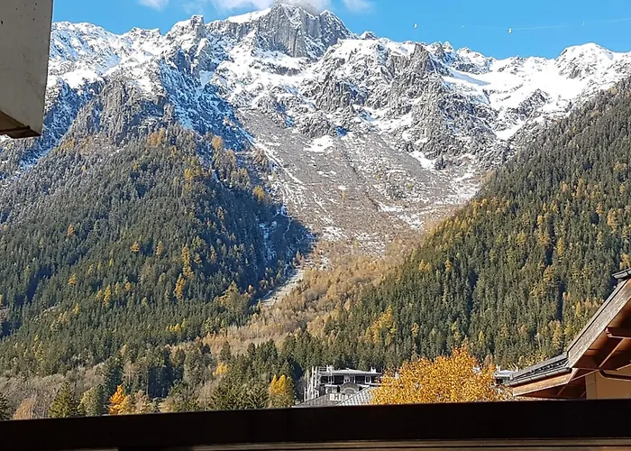 Le Sapi 1e Balcon Panoramique Aiguilles Rouges Avec Parking Gratuit Daire Chamonix